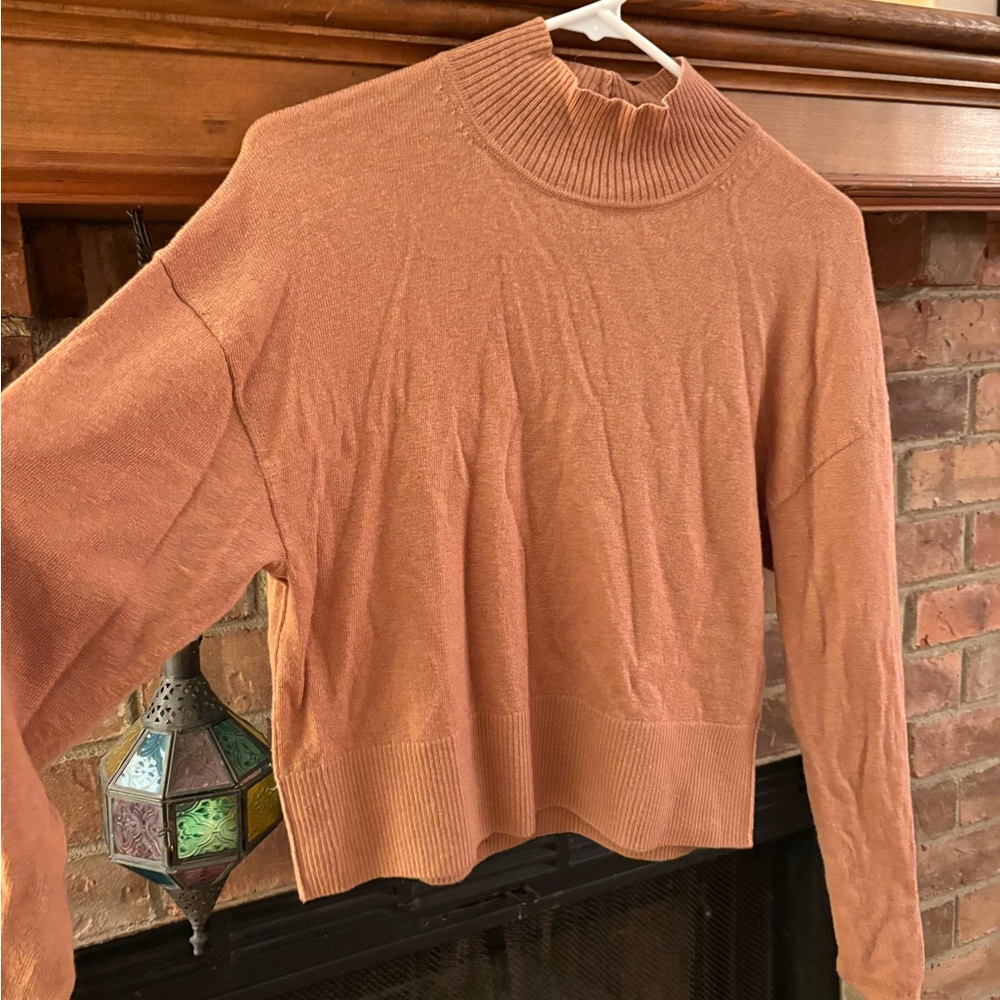Everlane Cozy Knit Sweater - Rust